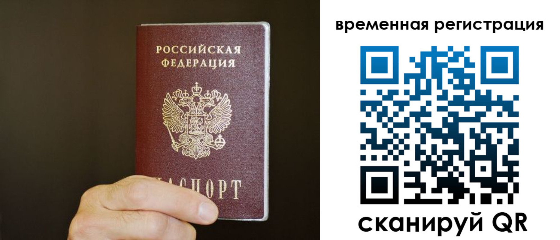 прописка гарантия в Новом Осколе